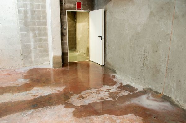 Cost of Wet Basement Repair in Utica